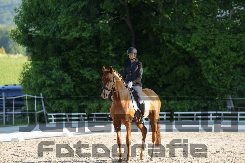 DSC02654 | Julian Held Fotografie - Realisiert mit Pictrs.com