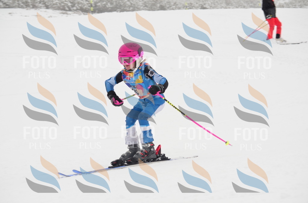 C1349 | holidayphoto