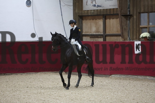 Reutlingen_2024_Prfg.Nr.04_Intermediaire I_Kür_Louisa Reisch_Bandol 3 (6) | Alle Fotos der Reiterjournal Fotografin Doris Matthaes im Reiterjournal Online-Fotoshop. - Realisiert mit Pictrs.com