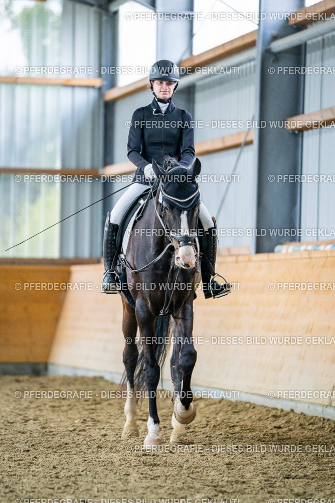 DSC04219 | Pferdegrafie