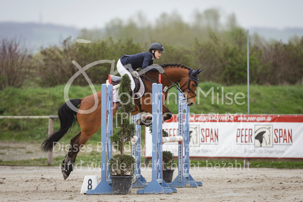 240330_Fruehlingsfest_Stil-A2-2-739 | Deine schönsten Turniermomente als professionelle Fotos! Entdecke hochwertige Pferdesport-Fotografie im Online-Shop. Jetzt Fotos finden & bestellen!