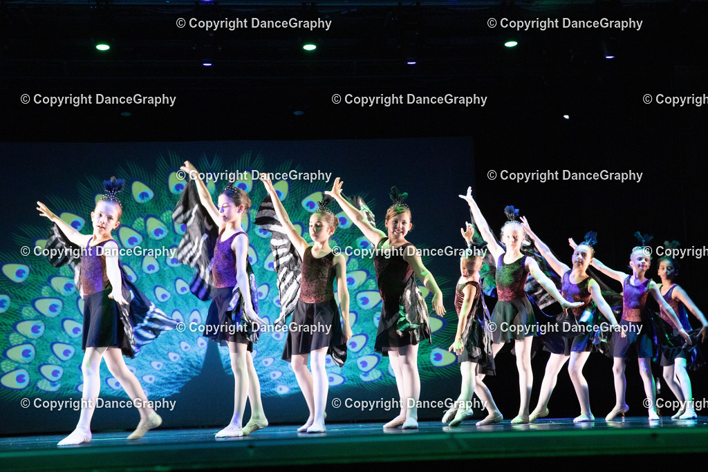 GPHY6163 | DanceGraphy - Realisiert mit Pictrs.com