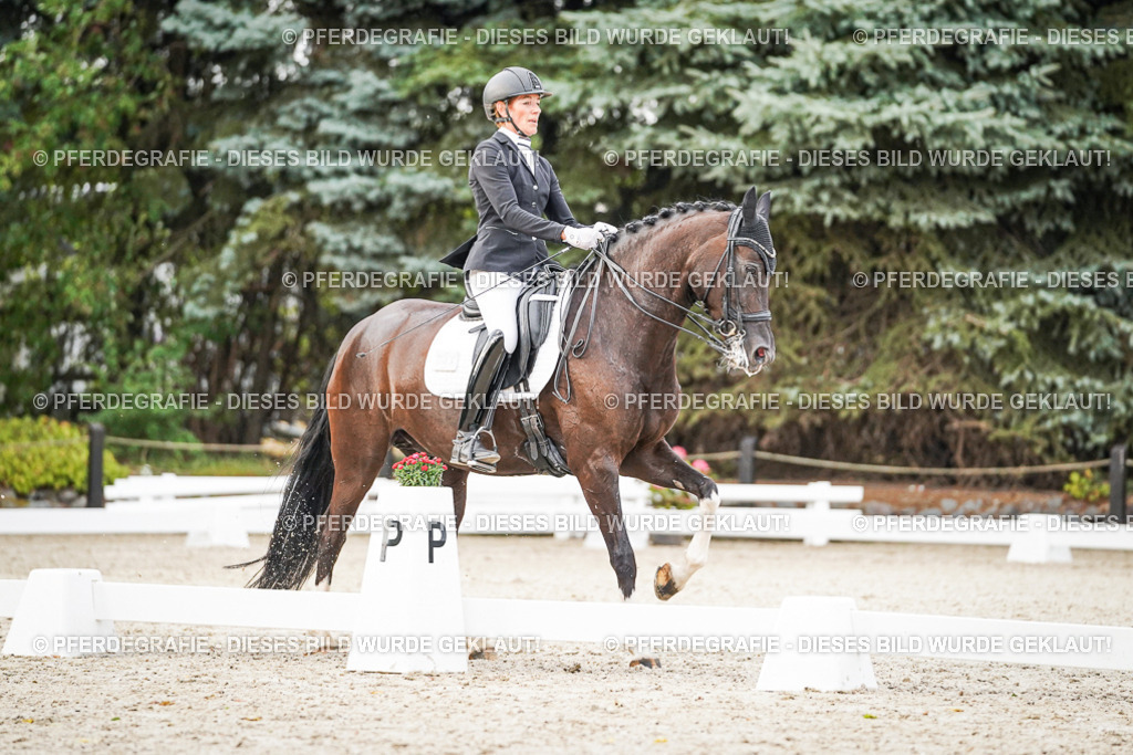 DSC08995 | Pferdegrafie