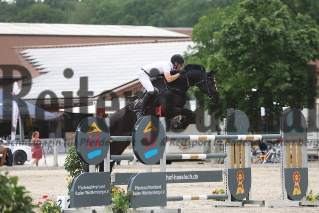 Weilheim_2023_Prfg.Nr.01_Springprfg_Kl.S_GP_Peter Döffinger_Shanuc_Stechen (1) | Alle Fotos der Reiterjournal Fotografin Doris Matthaes im Reiterjournal Online-Fotoshop. - Realizado com Pictrs.com