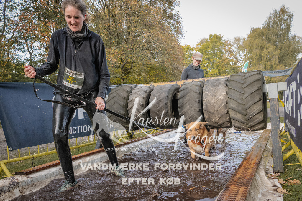 1440_ZZ94774 | kk-dogfotos