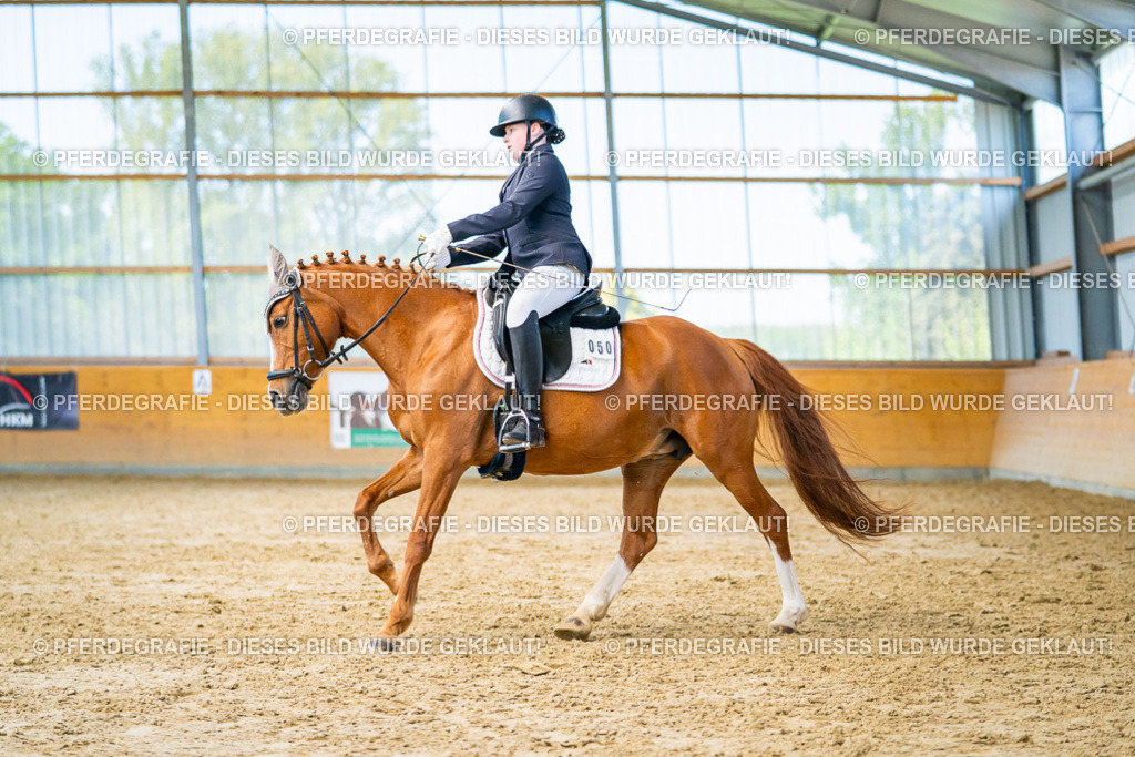 DSC07730 | Pferdegrafie