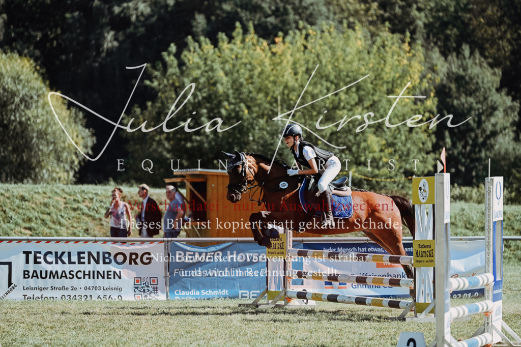 DSC_6921 | Pferde- und Turnierfotografie in Westsachsen. Pferdeportraits, Auftragszeichnungen und intuitive Kunst.