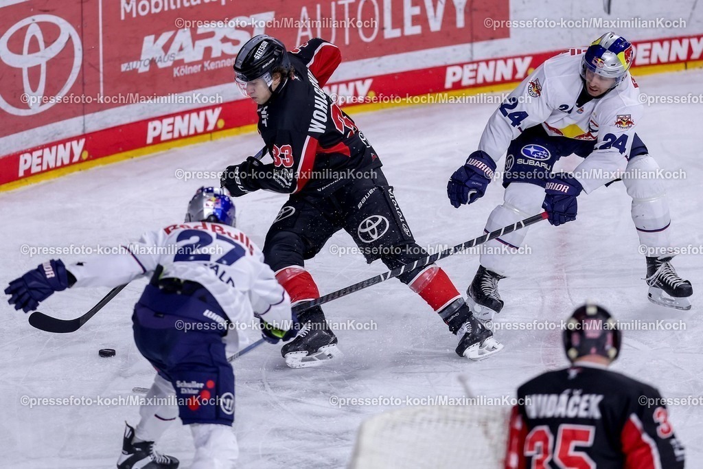 KEC28012501032 | 28.01.2025, Eishockey, DEL, Kölner Haie - EHC Red Bull München, Spieltag 41, Lanxess-Arena Köln: Tim Wohlgemuth (Kölner Haie #33) im Zweikampf gegen Jonathon Blum (EHC München #24) 