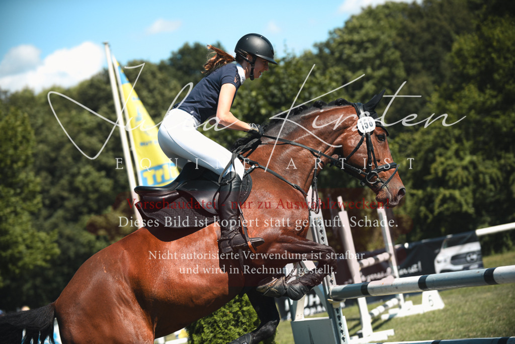 DSC_7231 | Pferde- und Turnierfotografie in Westsachsen. Pferdeportraits, Auftragszeichnungen und intuitive Kunst.