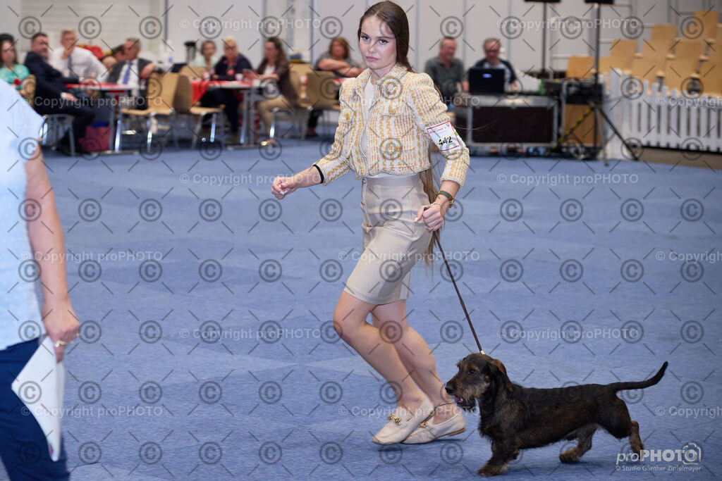 202406_ÖKV-IHA-Tulln24_NZ9_7832 | proPHOTO - Realisiert mit Pictrs.com