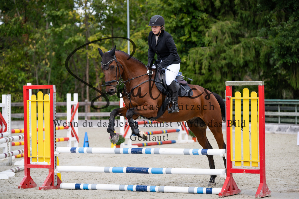 A7V07326 | Turnier/Reitfotograf