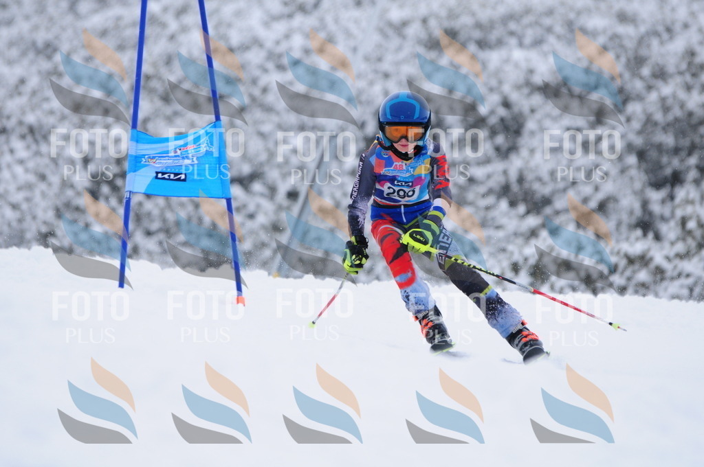 C3146 | holidayphoto