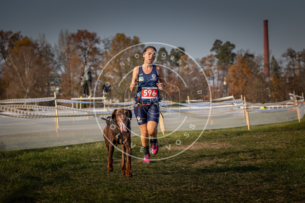 CaniXpix_0L8A0059 | Hundefotografie, Tierfotograf, Pfotenfotografie, Fotoshooting Hund, Hunde Portrait, Hundesport, Hundeportraits, Heideshooting, Hunde, Sportfotograf, Hundefotograf, Turnierhundsport, THS,  - Realisiert mit Pictrs.com