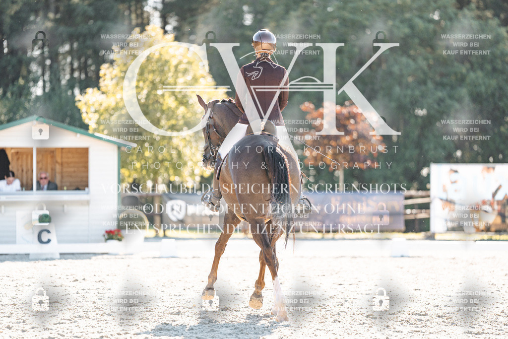 CK906578 | Turnierfotografie Pferdefotografie Trier Rheinland-Pfalz Pferdesport Reitsport Tierfotografie Sportfotografie Pferdevideo Pferdevideografie Equestrianvideography equestrianphotography  - Realisiert mit Pictrs.com