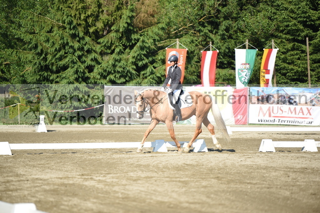 DSC_7003 | equestrian-live-com