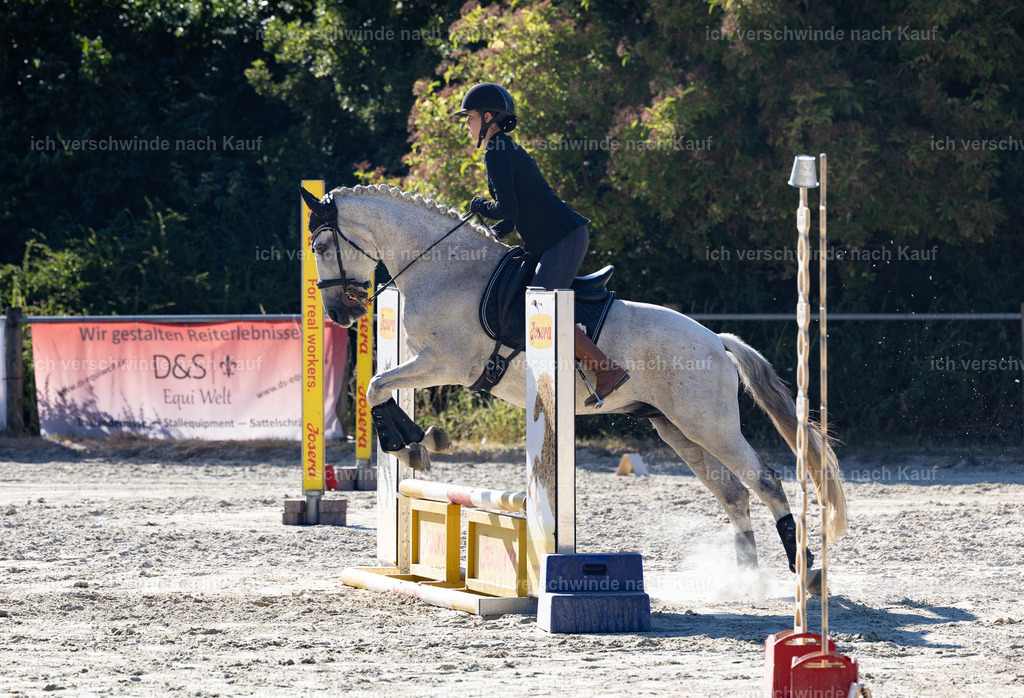 WS_StilTail_68_KerstinBernhardt-2 | working equitationturnier fotograf videograf stoibphotography marixx film working equitation deutschland reitsport turnierfotografie eventfotografie equestrian events