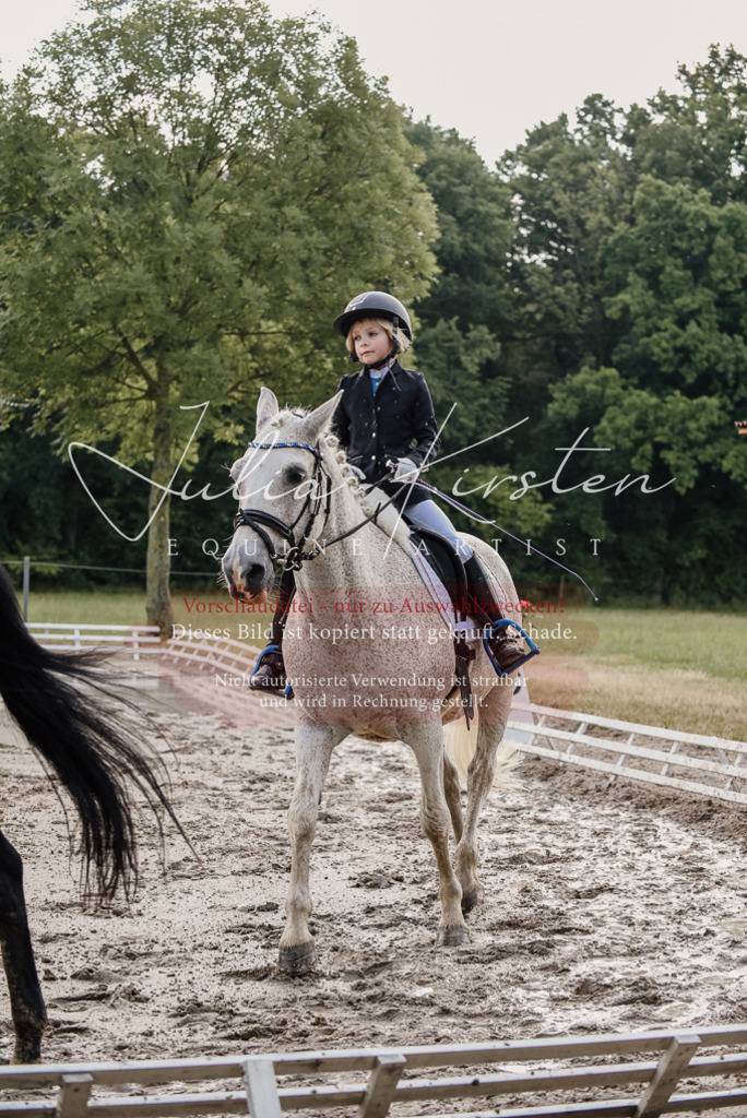 DSC_8308 | Pferde- und Turnierfotografie in Westsachsen. Pferdeportraits, Auftragszeichnungen und intuitive Kunst.