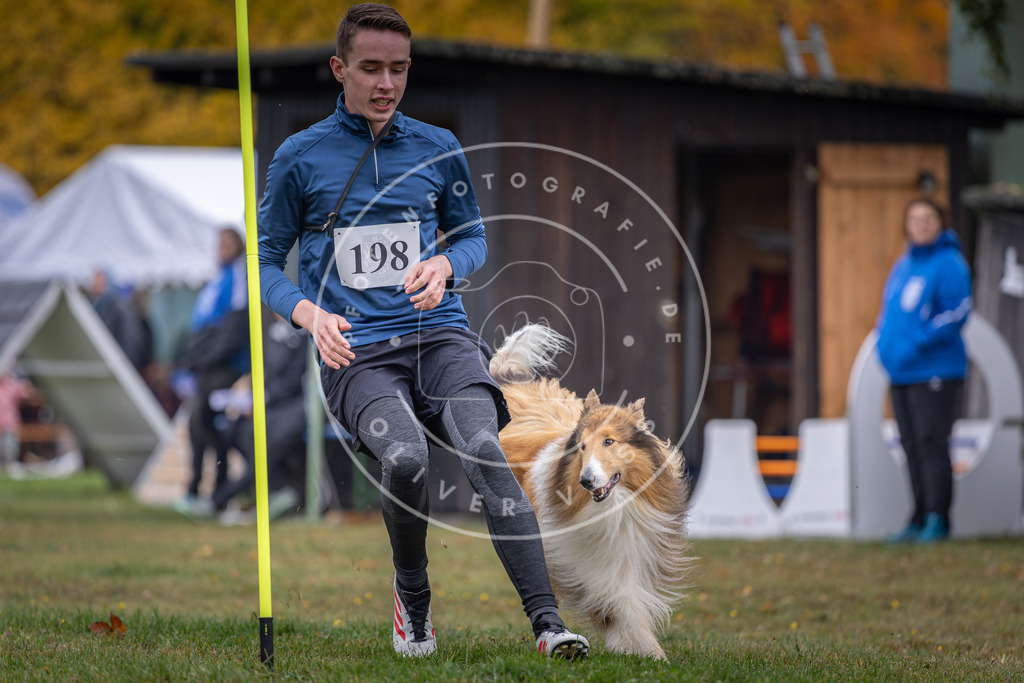 Pfotenfotografie_DV3A0785 | Hundefotografie, Tierfotograf, Pfotenfotografie, Fotoshooting Hund, Hunde Portrait, Hundesport, Hundeportraits, Heideshooting, Hunde, Sportfotograf, Hundefotograf, Turnierhundsport, THS,  - Realisiert mit Pictrs.com