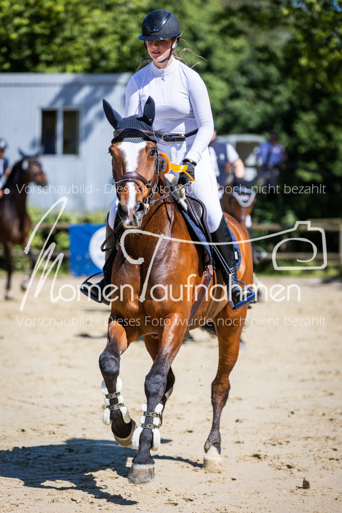 Donop24-M-Spr-100 | MomenTaufnahmen Pferdesportfotos