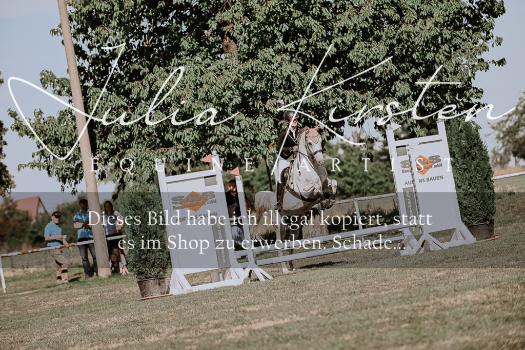 DSC_9487 | Pferde- und Turnierfotografie in Westsachsen. Pferdeportraits, Auftragszeichnungen und intuitive Kunst.