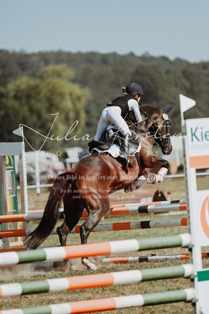 DSC_9792 | Pferde- und Turnierfotografie in Westsachsen. Pferdeportraits, Auftragszeichnungen und intuitive Kunst.