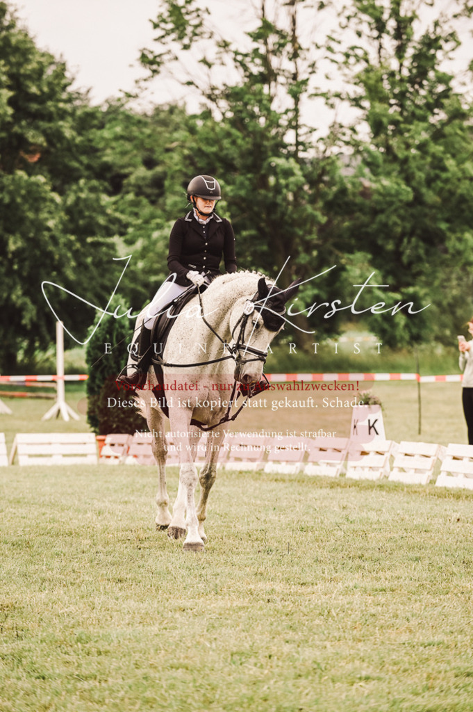 DSC_4958 | Pferde- und Turnierfotografie in Westsachsen. Pferdeportraits, Auftragszeichnungen und intuitive Kunst.