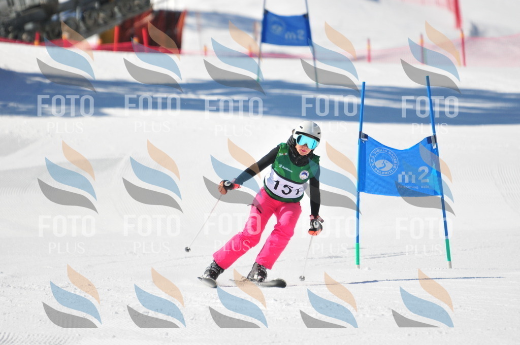 C4054 | holidayphoto