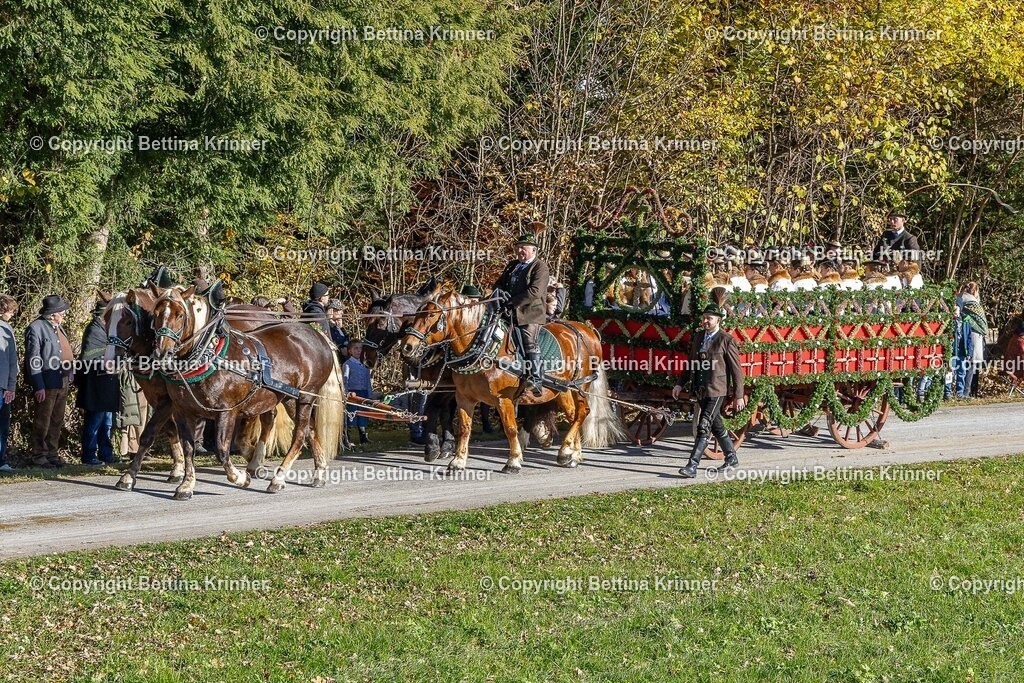 LBT25-729 | foto-bettina-krinner - Realisiert mit Pictrs.com