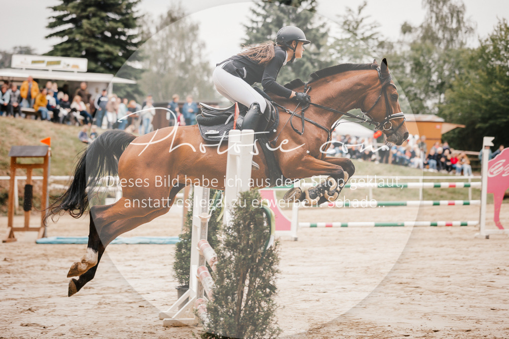 3I6A2215 | Stimmungsvolle Portraits und Reitsportfotografie im Ruhrgebiet und im Münsterland.

Pferdefotografie, Hundefotografie, Tierfotografie, Reportagen, Portraits von Tier und Mensch, Turnierfotografie in Bochum, Recklinghausen, Marl, Haltern am See, Dülmen.. - Realisiert mit Pictrs.com