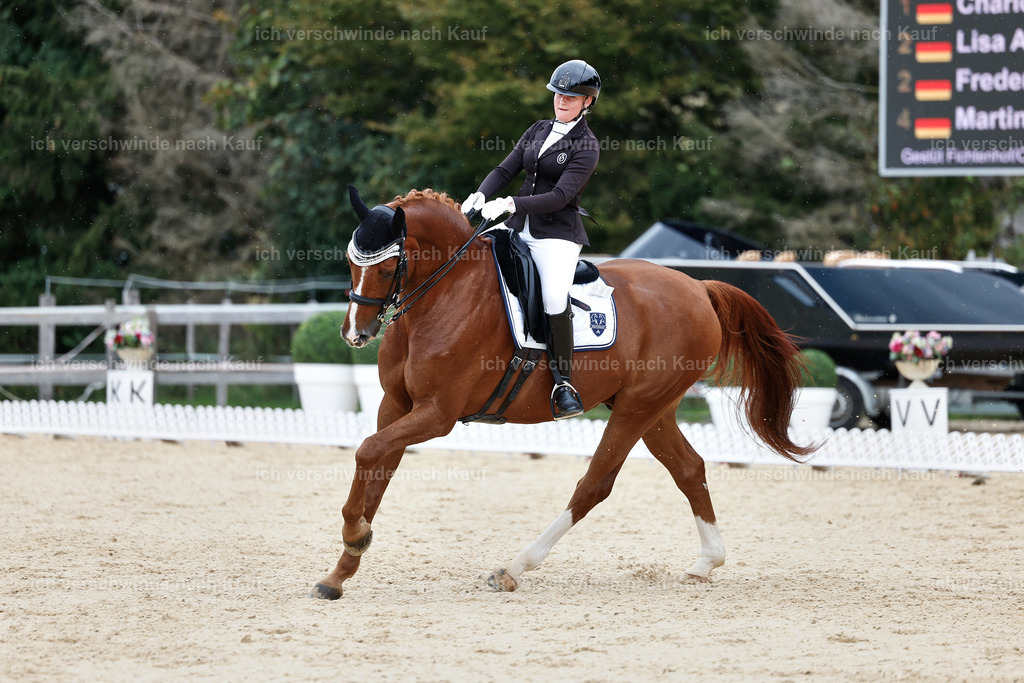 3-210-Dressur M_-StoibPH-2475 | working equitationturnier fotograf videograf stoibphotography marixx film working equitation deutschland reitsport turnierfotografie eventfotografie equestrian events