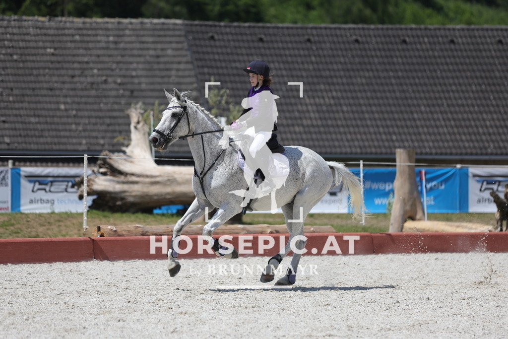 0P6A9044 | Willkommen bei Brunnmayr - Design & Fotografie – Ihrem Spezialisten für Reitturniere und Pferdeveranstaltungen in Oberösterreich, Salzburg und Bayern! Seit über 17 Jahren sind wir leidenschaftlich dabei.