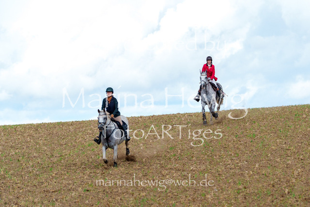 Jagd Knoop 26_MarinaHewigMCH02508 | Fotografie, FotoArt, PferdesportArt, Pferdesportfotografie, Landschaftsfotografie, Reisefotografie, Reise, Pferde - Realisiert mit Pictrs.com