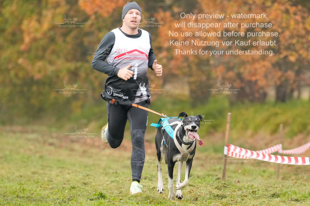 AusschnitteSa-1 | stephaniefillaphotographie - Realisiert mit Pictrs.com