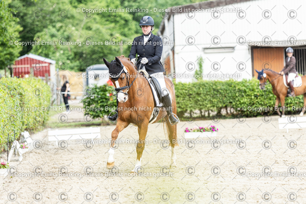 CL5A6679-2 | Emilia Reinking Fotografie - Realisiert mit Pictrs.com