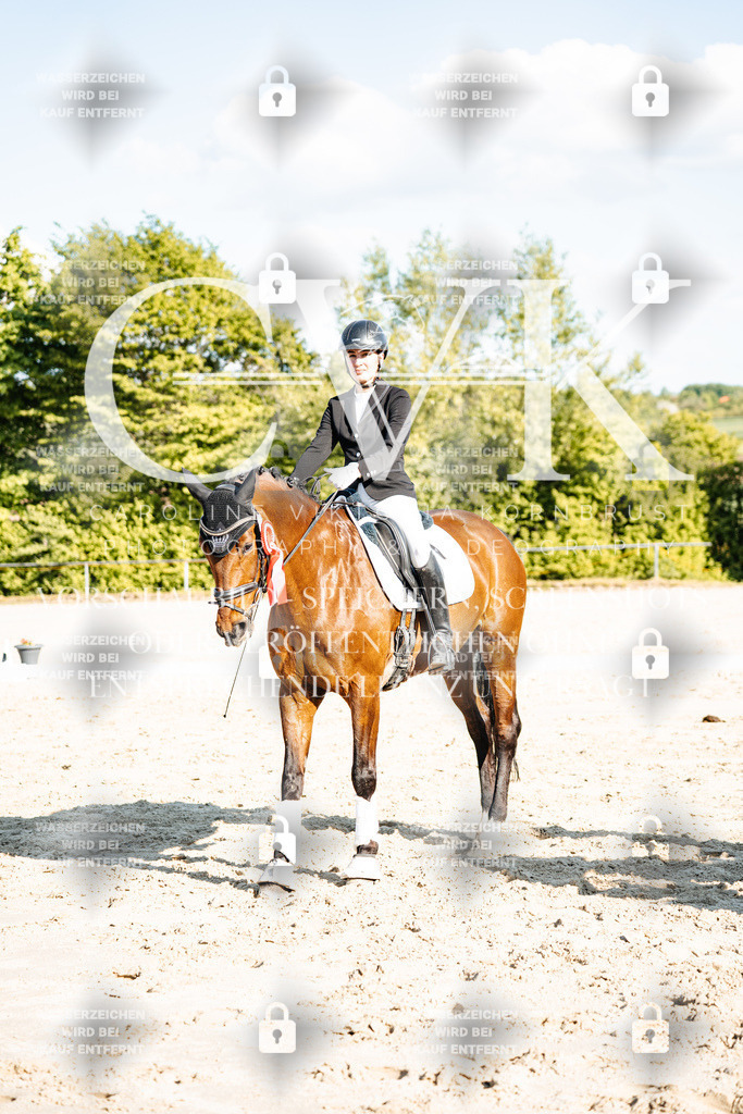 CK703590 | Turnierfotografie Pferdefotografie Trier Rheinland-Pfalz Pferdesport Reitsport Tierfotografie Sportfotografie Pferdevideo Pferdevideografie Equestrianvideography equestrianphotography  - Realisiert mit Pictrs.com