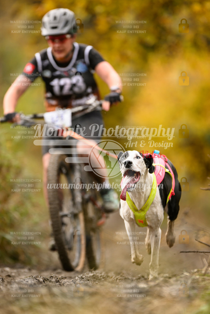 MompixPhotography_ICF_WC_2024_SA_Bike_-103 | PayLife
