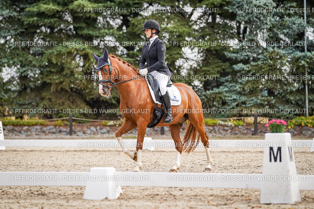 DSC01765 | Pferdegrafie