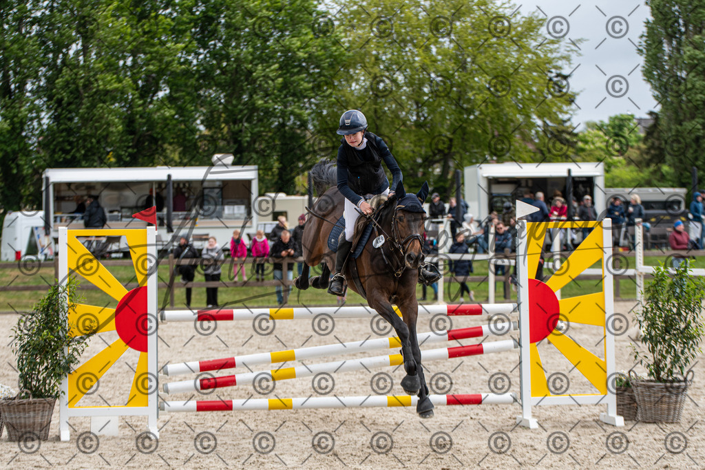 KPT_8925 | andre_photographic