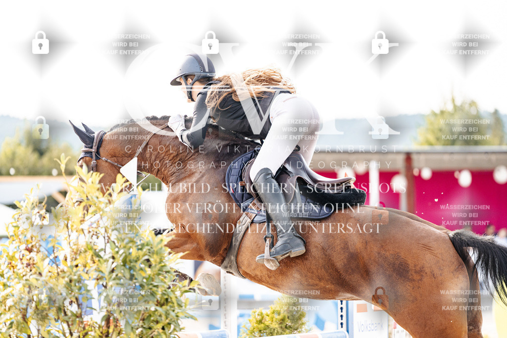 CK906467 | Turnierfotografie Pferdefotografie Trier Rheinland-Pfalz Pferdesport Reitsport Tierfotografie Sportfotografie Pferdevideo Pferdevideografie Equestrianvideography equestrianphotography  - Realisiert mit Pictrs.com