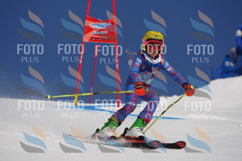 _W1G0116 | holidayphoto