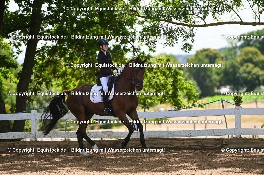 20230716_03_Dressurprfg. Kl.L - Tr._0063 | equistock