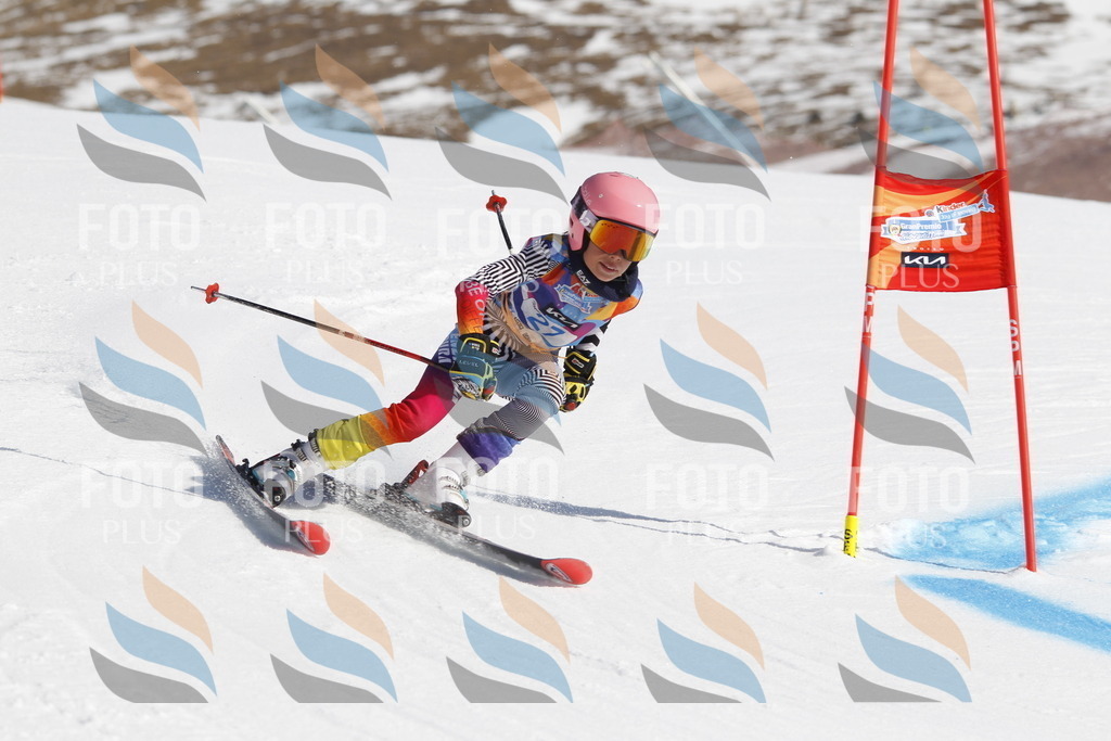 _U3G8986 | holidayphoto