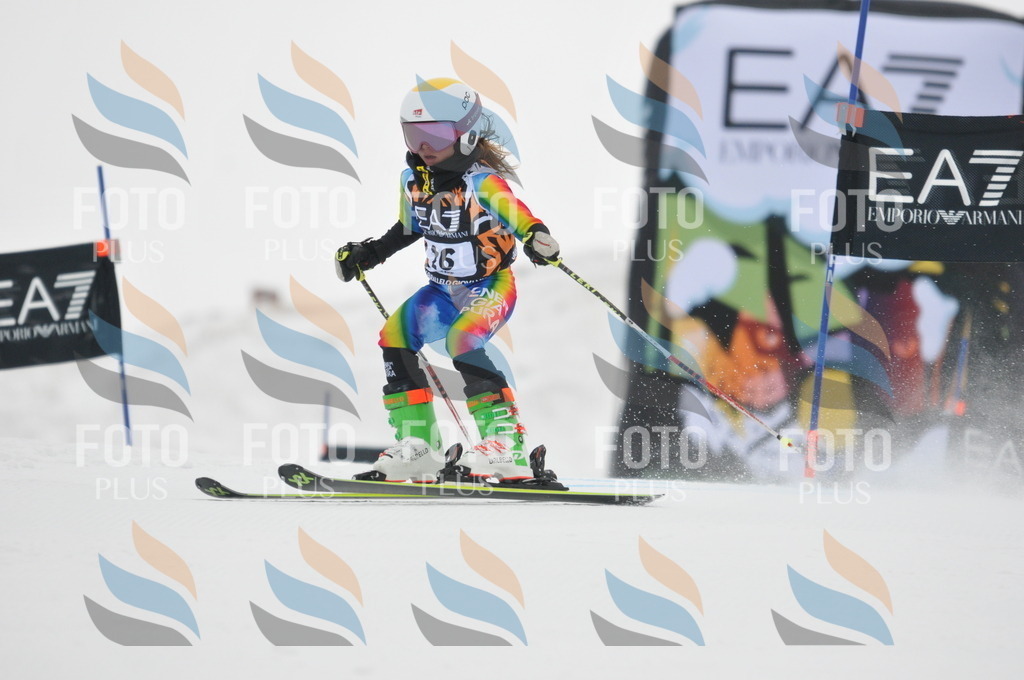 DSC_7508 | holidayphoto