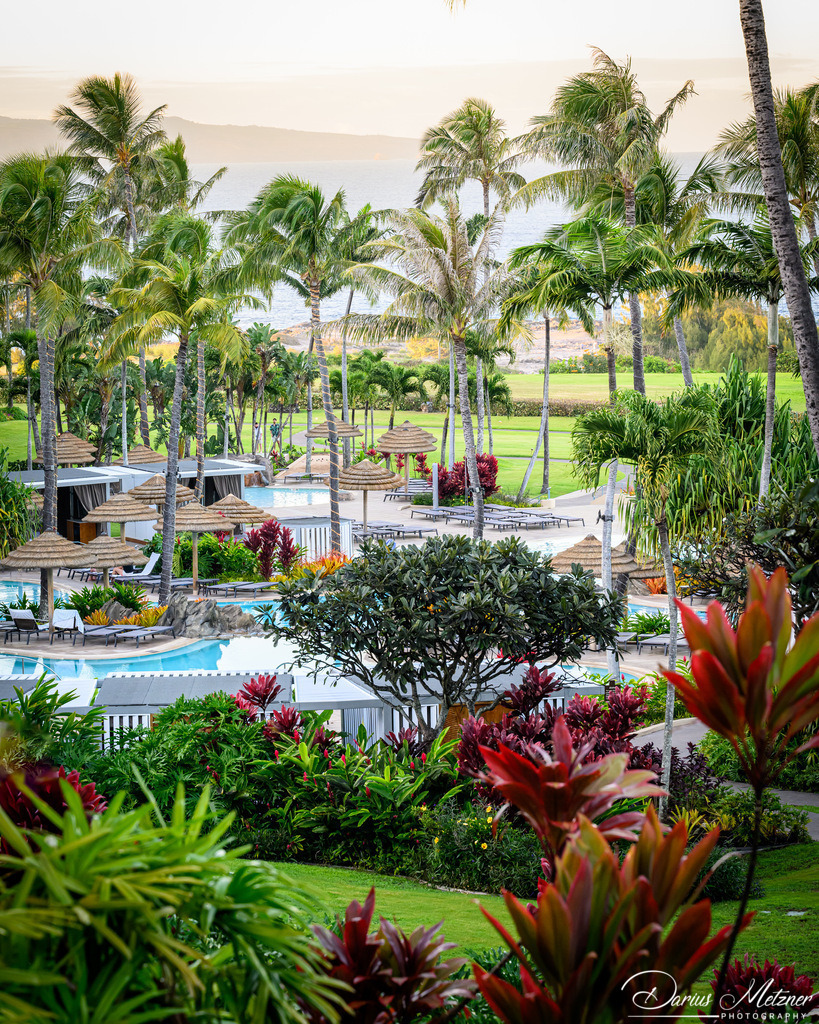 DSC_7417 | Fotografien, Fotos und Bilder aus Mainz, Frankfurt, Wiesbaden und anderen Orten auf der Welt - Fotografiert von Darius Metzner