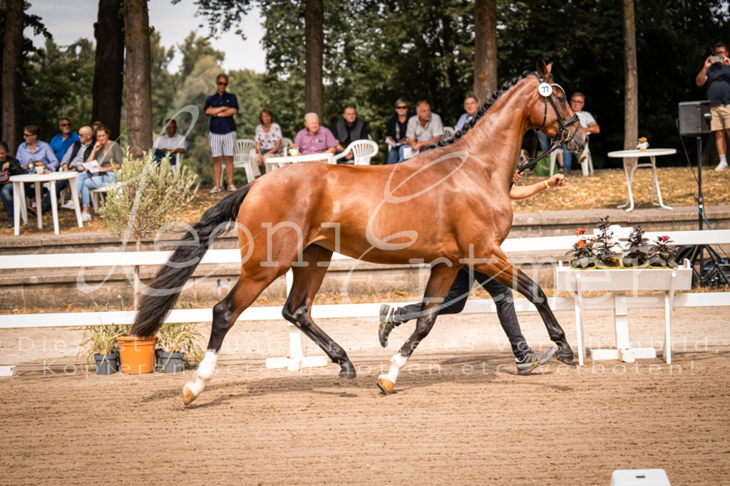 4.Fr00025 | Leoni Ertmer Photography - Realisiert mit Pictrs.com