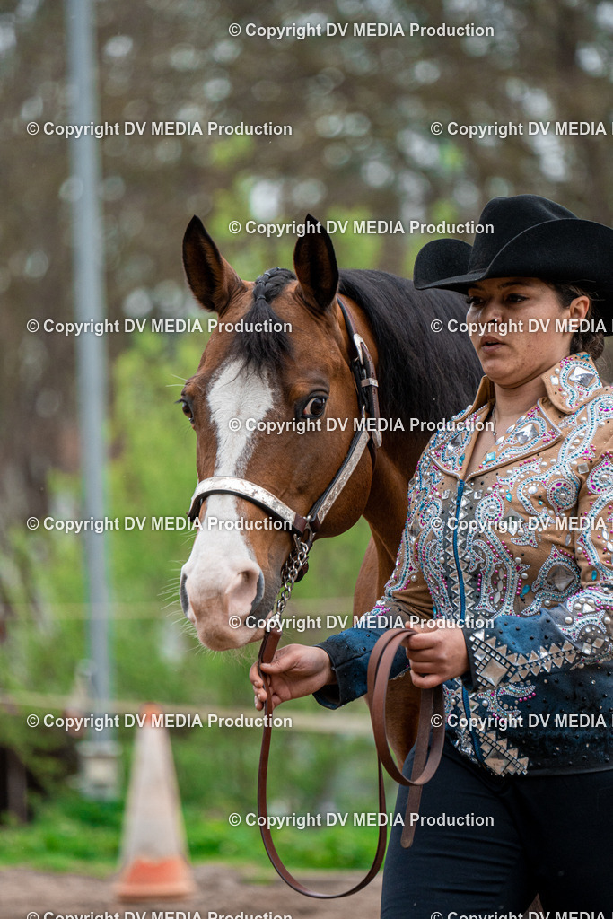 BA300157 | dv-media-shop - Realisiert mit Pictrs.com