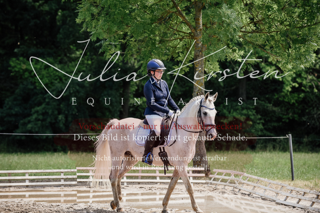 DSC_1813 | Pferde- und Turnierfotografie in Westsachsen. Pferdeportraits, Auftragszeichnungen und intuitive Kunst.
