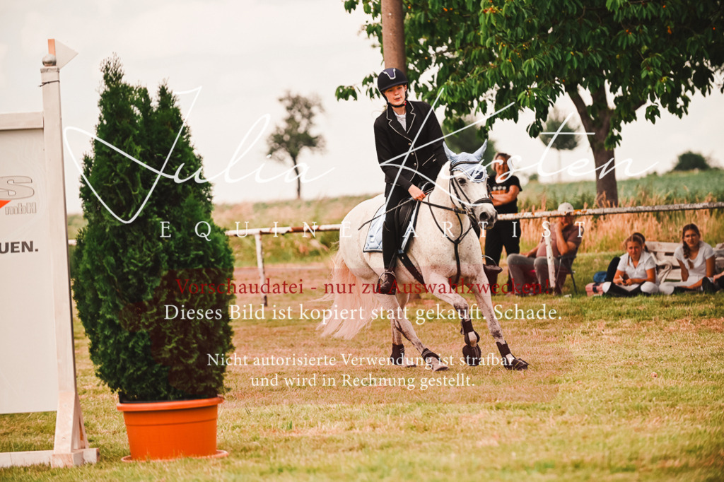 DSC_6975 | Pferde- und Turnierfotografie in Westsachsen. Pferdeportraits, Auftragszeichnungen und intuitive Kunst.