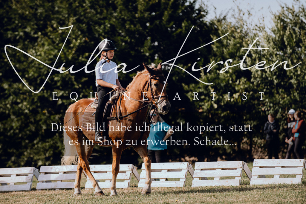 DSC_6943 | Pferde- und Turnierfotografie in Westsachsen. Pferdeportraits, Auftragszeichnungen und intuitive Kunst.