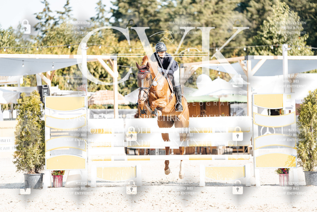 CK902002 | Turnierfotografie Pferdefotografie Trier Rheinland-Pfalz Pferdesport Reitsport Tierfotografie Sportfotografie Pferdevideo Pferdevideografie Equestrianvideography equestrianphotography  - Realisiert mit Pictrs.com